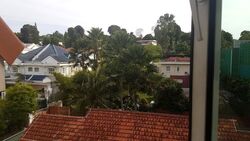 Fernhill Cottage (D10), Terrace #502322681